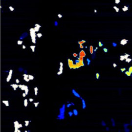 Nanotube-Polystyrene composite