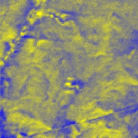 Magnetic phase transition in cobalt