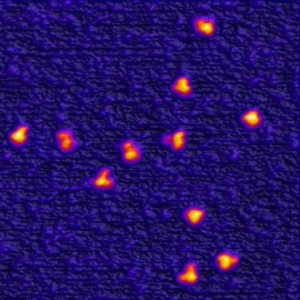 Antibody molecules