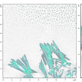 The 1 nm in a thick plates of J-agregates of cyanine dye on mica surface