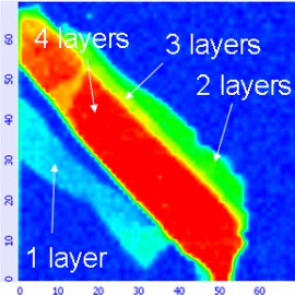 Confocal Raman map