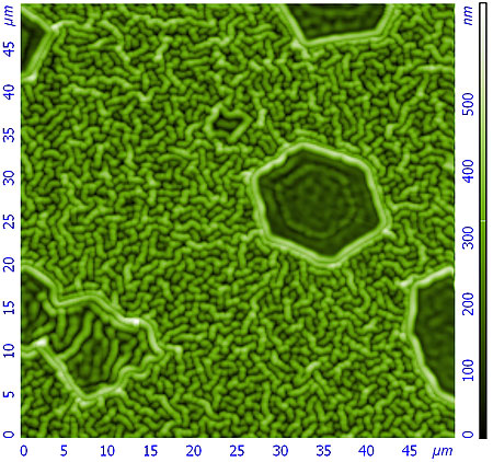 spherulite