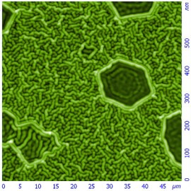 Closed spherulite on the polymer surface