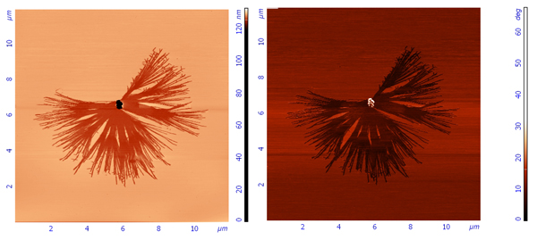 sar_nanot_cluster2