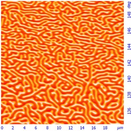 Magnetic domains in a TbGdFeCo film