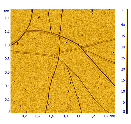 nanotubes