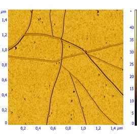 Nanotubes