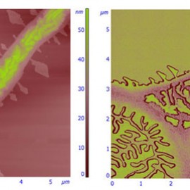 Thin film of semiconducting polymer