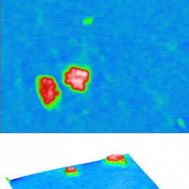 Ferritin clusters