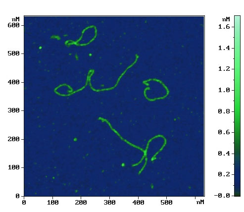 collagen_mol