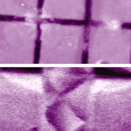 Magnetic structures of permalloy