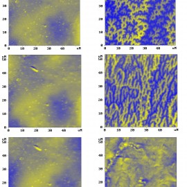 Magnetic phase transition in cobalt