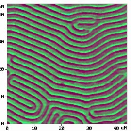 Magnetic domains of garnet film