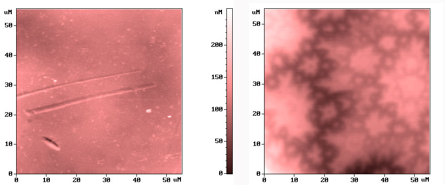 magnetic_domains_of_cobalt_monocrystal_54x54_