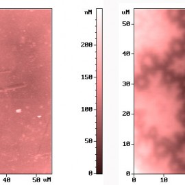 Magnetic domains of cobalt monocrystal