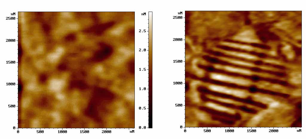 ferroelectric_stripe_domains_on_pzt_afam_2.5x2