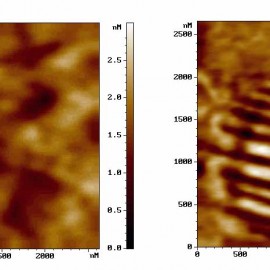 Ferroelectric stripe domains on PZT (AFAM)