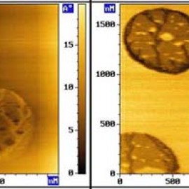 Adsorption on TGS _ 2