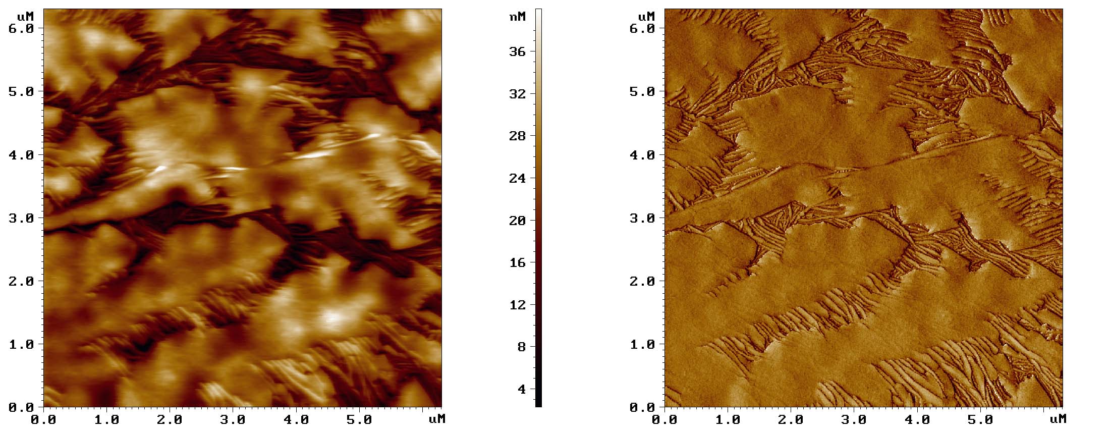 annealed_polyethylene_film_obtained_on_flat_model_phillips_catalist