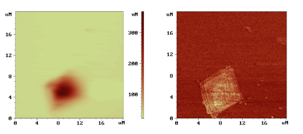 chrystals_of_polyethylene_afam_20x20_