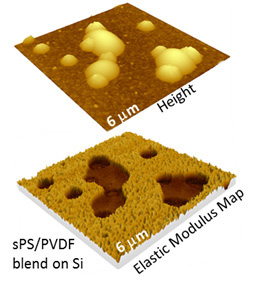 Quantitative Nanomechanical Measurements in HybriD Mode Atomic Force Microscopy showed that the local elastic moduli correlate well to their macroscopic values.