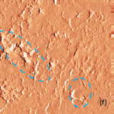 AFM topography magnitude of the surface of LiCoO2 cathodes from the new battery