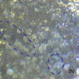 AFM topography optical images of the surface of LiCoO2 cathodes from the new battery