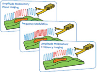 Exploring Imaging in Oscillatory Resonance AFM Modes: Backgrounds and Applications