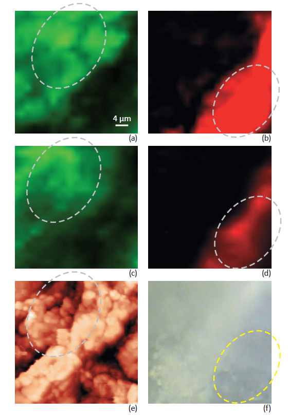 Raman mapping: Focus track and without Focus track. AFM topography image and optical image.