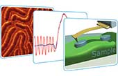 Expanding Atomic Force Microscopy with HybriD Mode Imaging